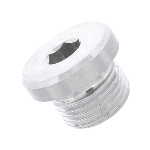 Transmission Case Plug (18 mm with Seal) - PAF008528
