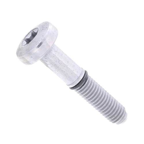 Fuel Pump Bolt (8 X 20 mm) - N91048802