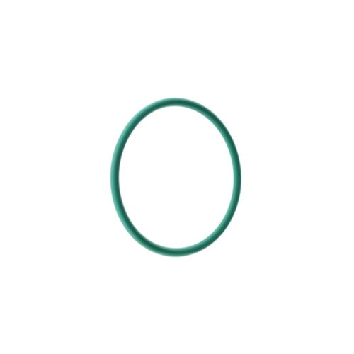 O-Ring for High Pressure Fuel Pump (31 X 2 mm) - PAF008476