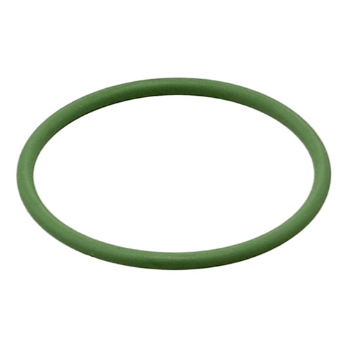 O-Ring for High Pressure Fuel Pump (31 X 2 mm) - PAF008476