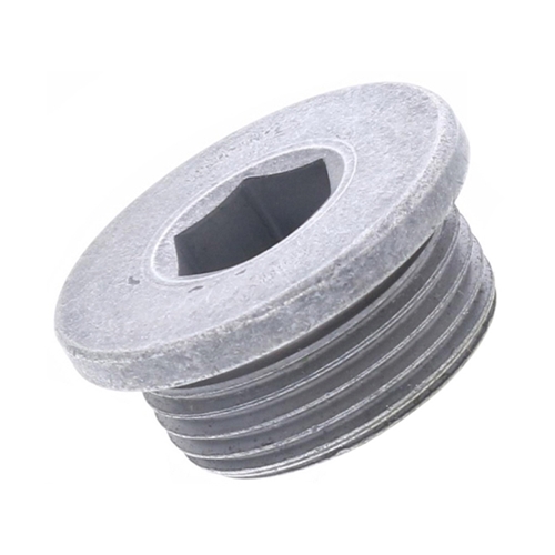 Transmission Case Plug - PAF003487