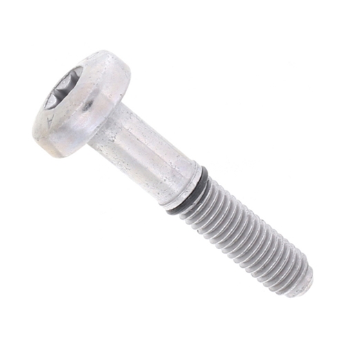 Valve Cover Bolt (8 X 44 mm) - 99907358201