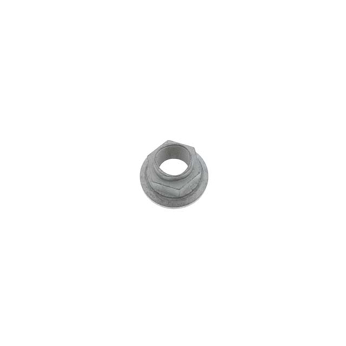 Wheel Hub Nut (22 X 1.5 mm) - WHT007021