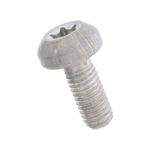 Drive Belt Tensioner Bolt (8 X 20 mm) - N10766301