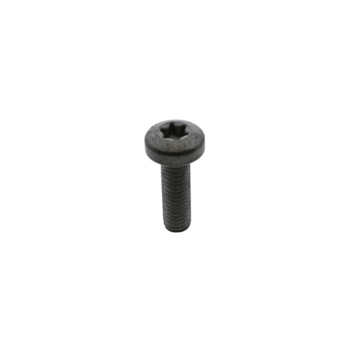 Thermostat Housing Bolt (6 X 20 mm) - N10124306