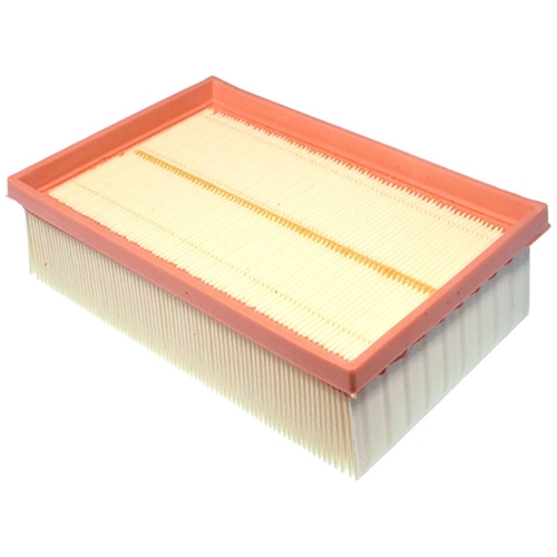 Air Filter - C2P16933