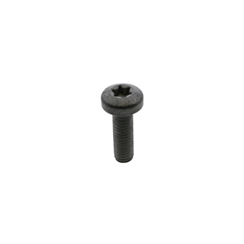 Thermostat Housing Bolt (6 X 20 mm)  - N10124306