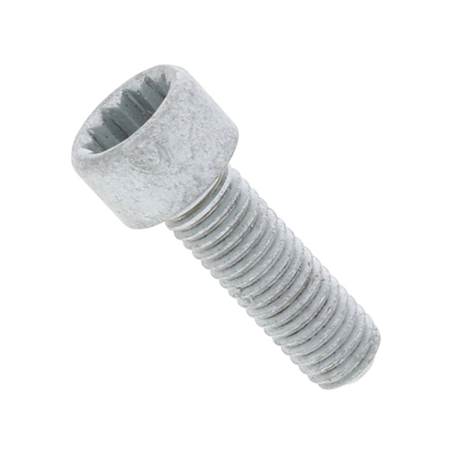 Crankshaft Pulley Bolt (8 X 25 mm) - PAF910059