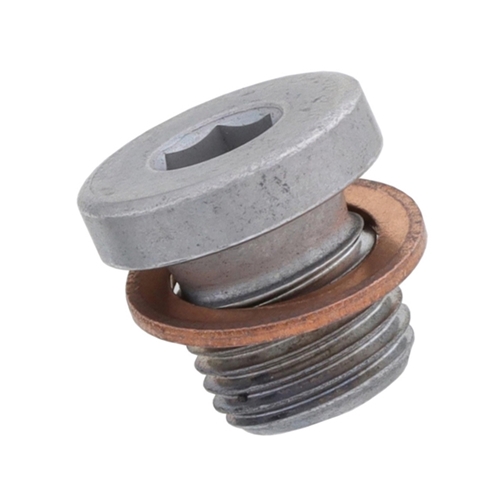 Differential Drain Plug (10 mm) - N90281802
