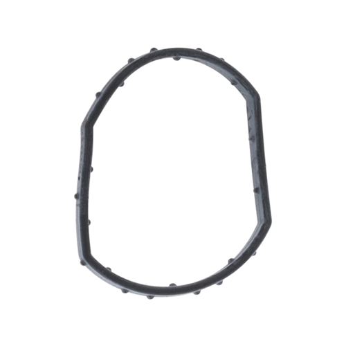 Coolant Thermostat Gasket - 95810674902